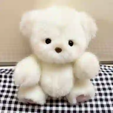 20cm