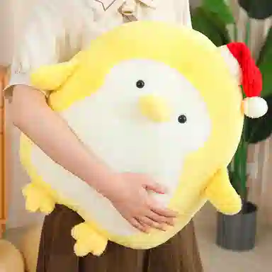 50cm