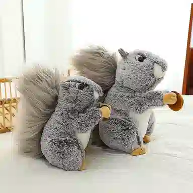 20cm25cm