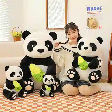 75cm25cm35cm50cm