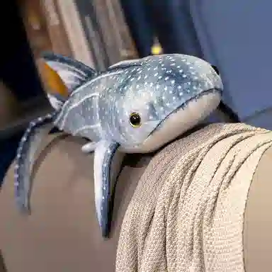 60cm