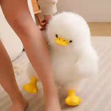 40cm70cm95cm