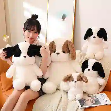 25cm40cm55cm70cm