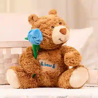 26cm36cm