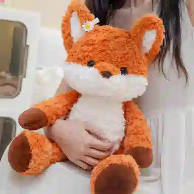 35cm50cm