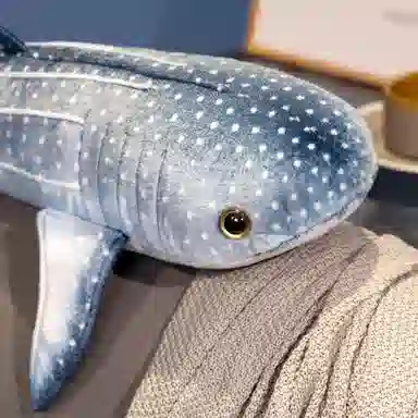 60cm