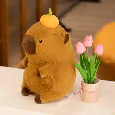 40cm60cm