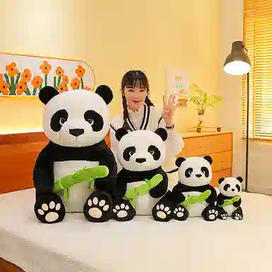 25cm35cm50cm75cm