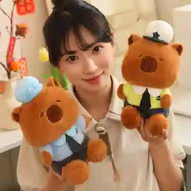25cm