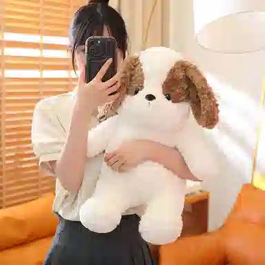 25cm40cm55cm70cm