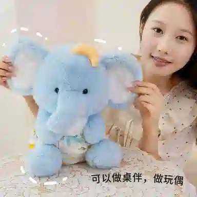 22cm33cm