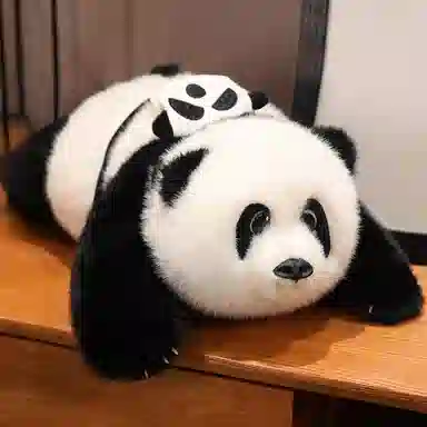 25cm40cm50cm55cm75cm