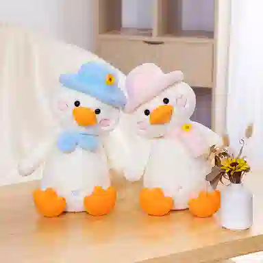 30cm45cm