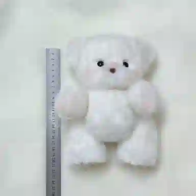 20cm