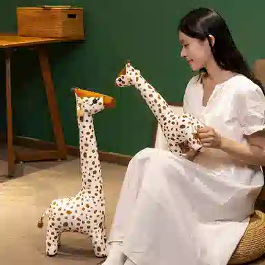 40cm65cm