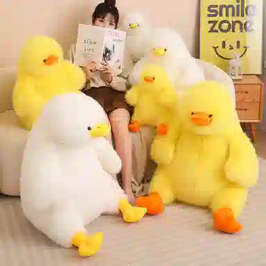 40cm70cm95cm