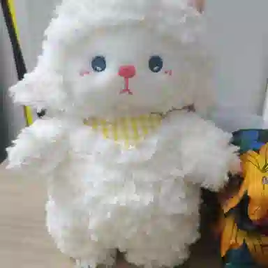 24cm