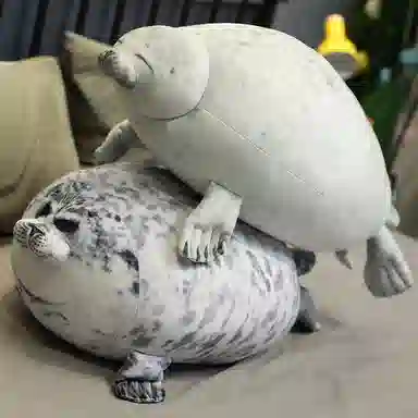 30cm40cm60cm80cm100cm