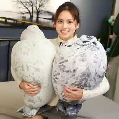 30cm40cm60cm80cm100cm