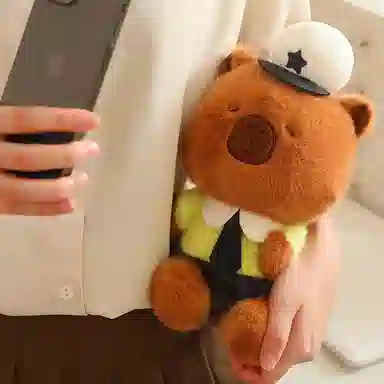 25cm