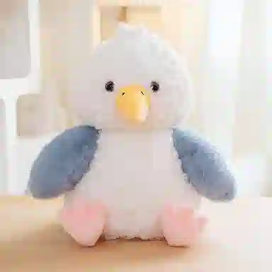 25cm35cm