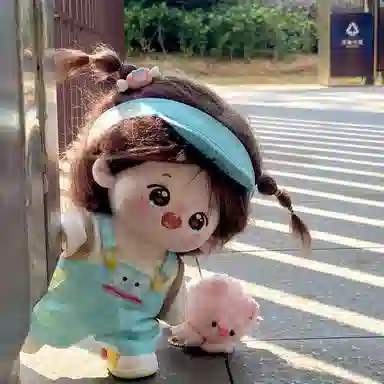 20cm
