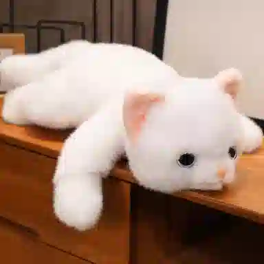30cm45cm65cm