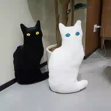 30cm35cm36cm