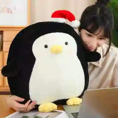 50cm