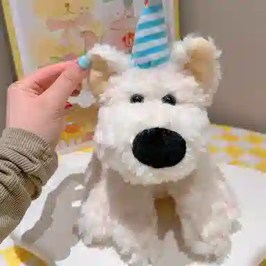 28cm