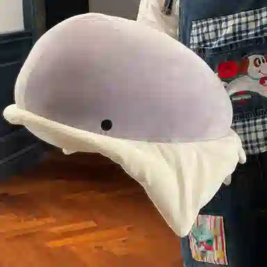 27cm55cm