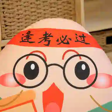 万童乐 端午粽子抱枕 玩偶 毛绒公仔