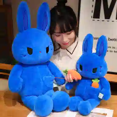 38cm55cm80cm110cm