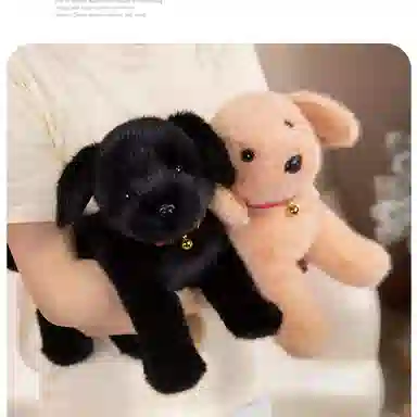 30cm36cm43cm