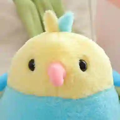 25cm30cm