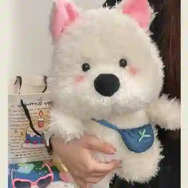 23cm