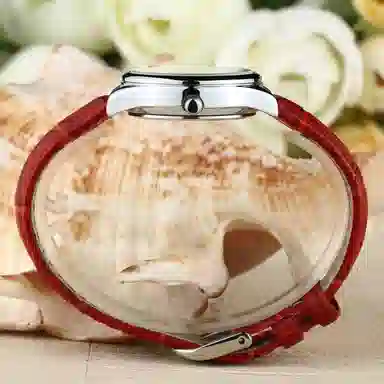 GUANQIN DS80007-AV.BHR