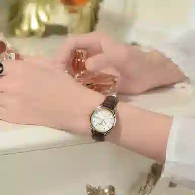 GUANQIN DS80007-AV.JBZ