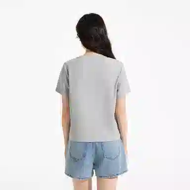 Hotwind T