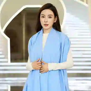 【榜单优选】 桉彩饰 羊绒羊毛混纺百搭柔软披肩女友流苏舒适保暖高雅纯色毕业季谢师礼加厚超大舒适冬日恋歌 绒线围巾 男女同款情侣款