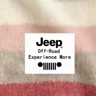 Jeep ins