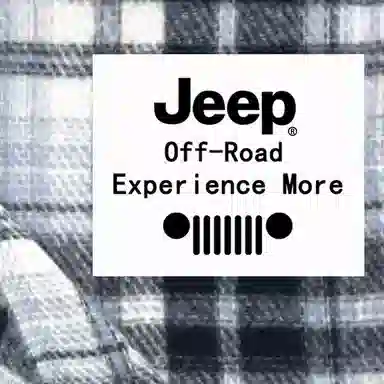 Jeep ins