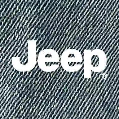 Jeep ins