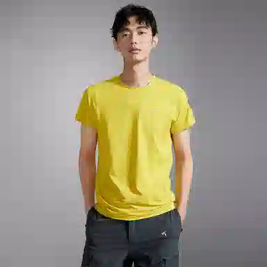 Tittallon T