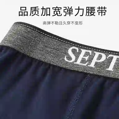 SEPTWOLVES 4