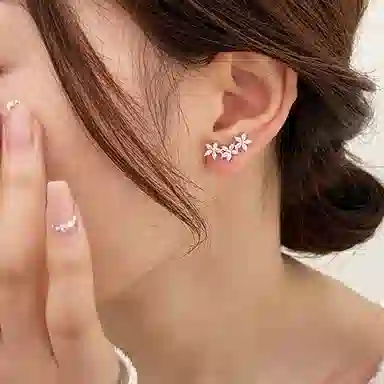 ZOKS S925