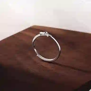 ZOKS ins S925