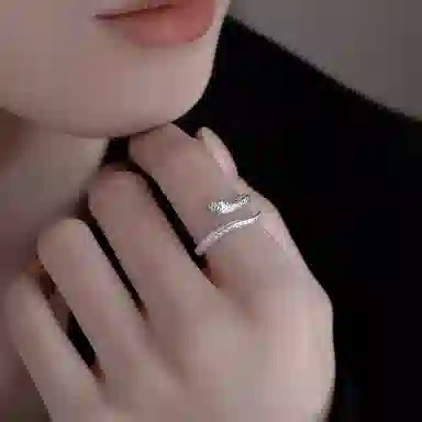 ZOKS ins