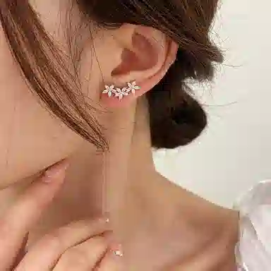 ZOKS S925