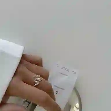 ZOKS ins S925
